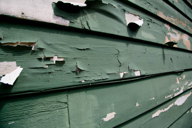 Trusted West Carson, CA Siding Installation & Repair Experts